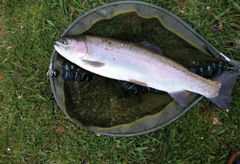 בית מלון כפרי Woolly Bugger Farm