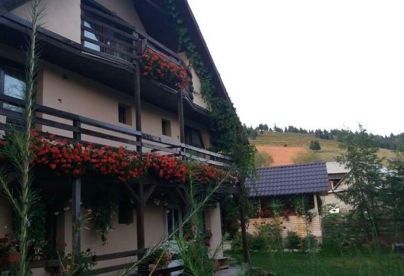 پانسیون Cabana Ada 2