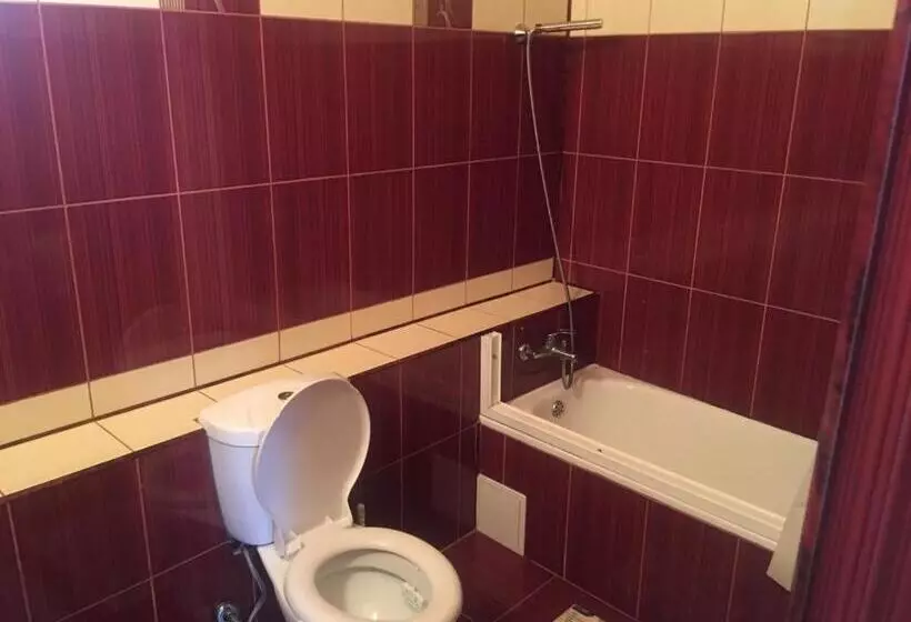 ペンション Casa Ovi și Simo