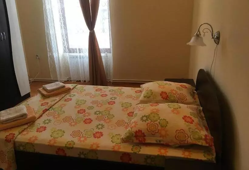 ペンション Casa Ovi și Simo
