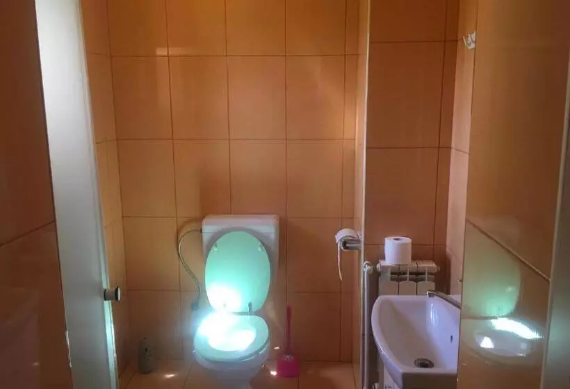 ペンション Casa Ovi și Simo