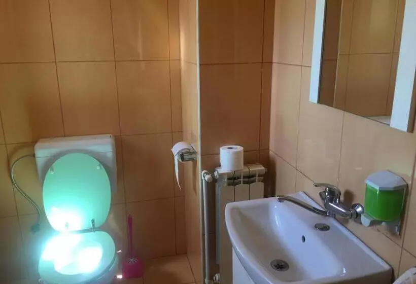 ペンション Casa Ovi și Simo