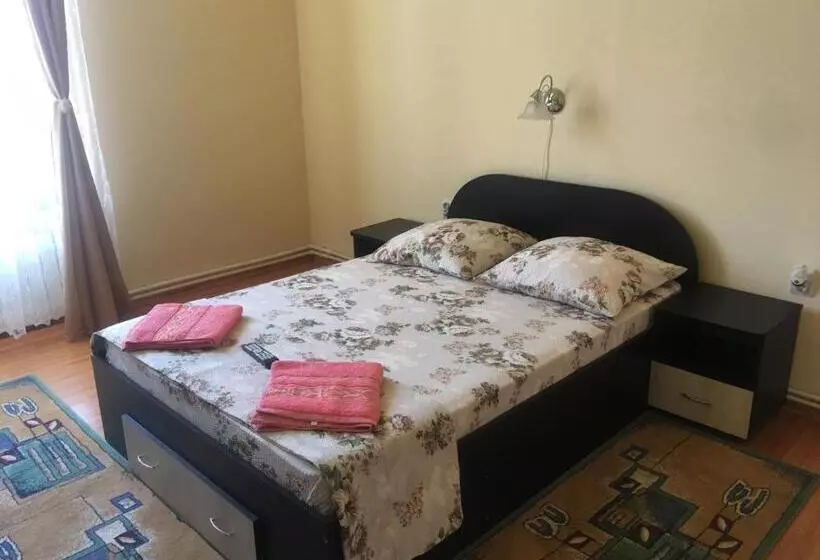 ペンション Casa Ovi și Simo