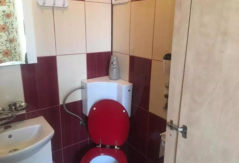 ペンション Casa Ovi și Simo