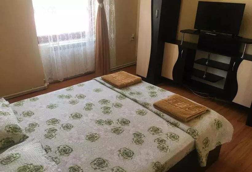 ペンション Casa Ovi și Simo