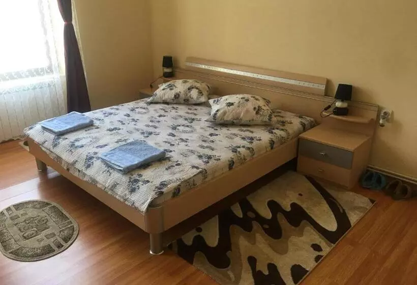 ペンション Casa Ovi și Simo