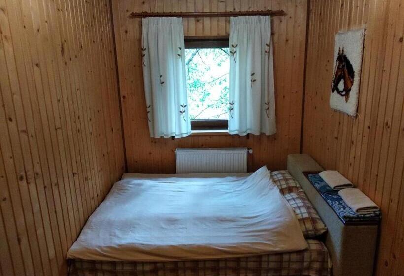 پانسیون Cottage Spadok