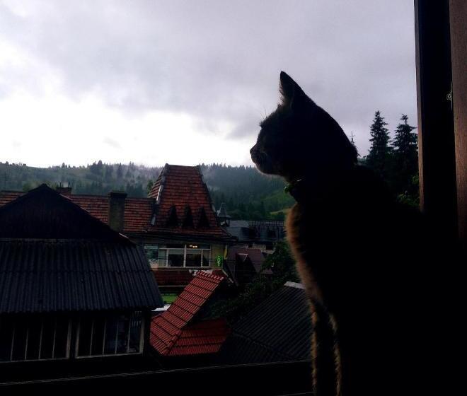 پانسیون Cottage Spadok