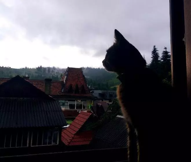 Majatalo Cottage Spadok