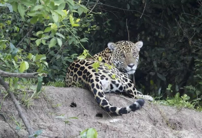 Majatalo Fazenda San Francisco