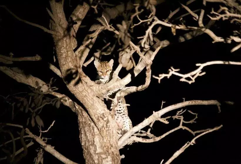 Majatalo Fazenda San Francisco