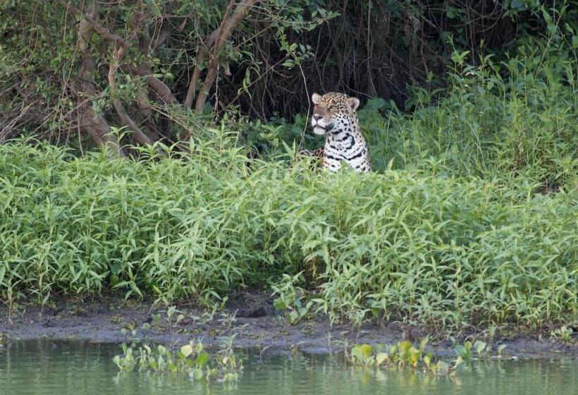 Пансион Fazenda San Francisco
