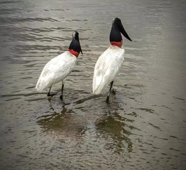 Majatalo Fazenda San Francisco