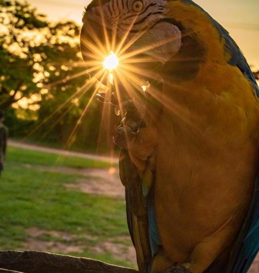 Пансион Fazenda San Francisco