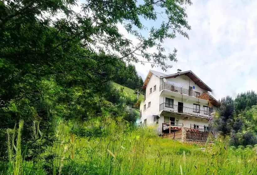 Majatalo Kuma Lissa Guest House