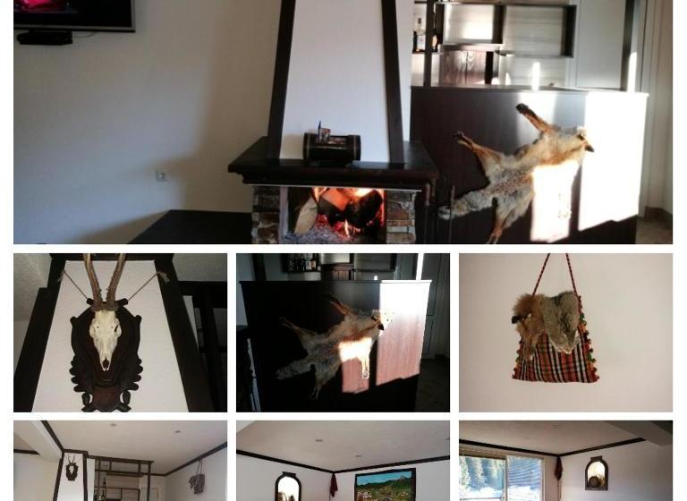 Пансион Kuma Lissa Guest House