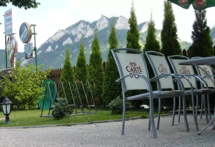 Majatalo Penzión Tulip