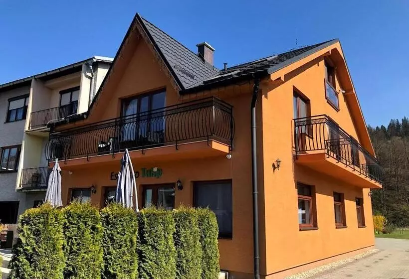 Majatalo Penzión Tulip