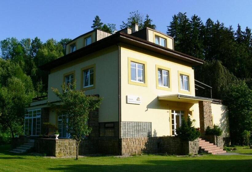 פנסיון Penzion Továrníkova Vila