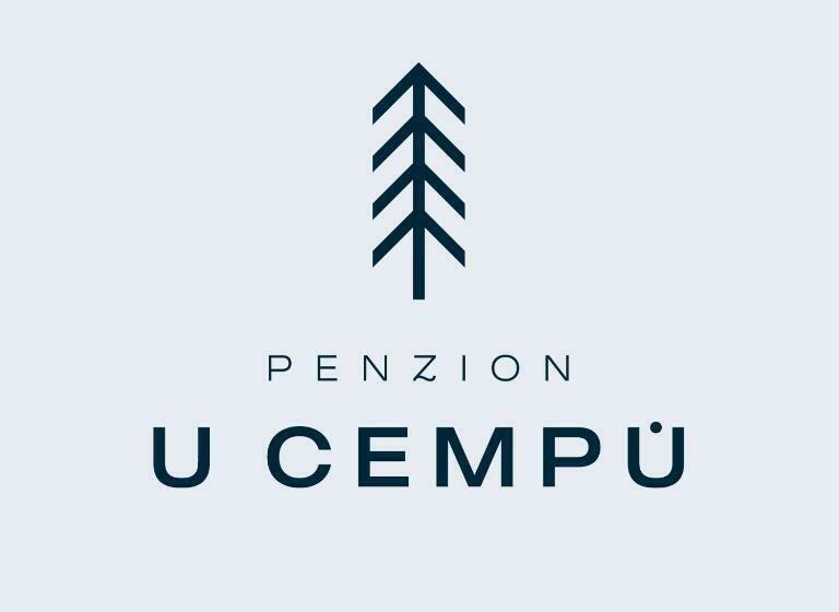 膳宿费 Penzion U Cempu