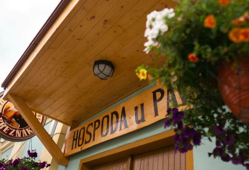 膳宿费 Penzion U Cempu