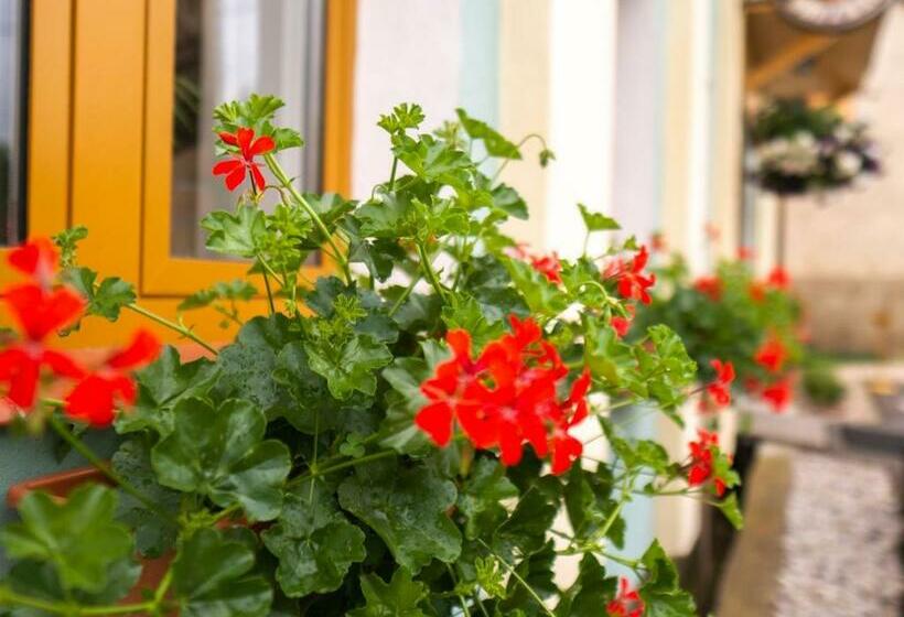 膳宿费 Penzion U Cempu