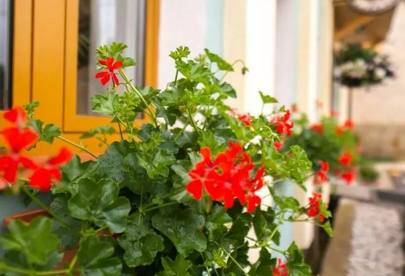 Majatalo Penzion U Cempu