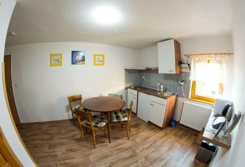 膳宿费 Penzion U Cempu