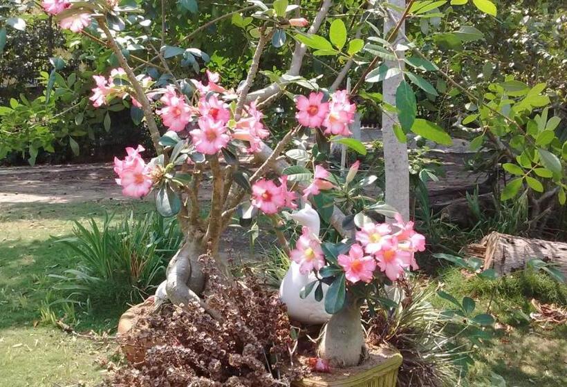 פנסיון Pousada Camping Porto Grande