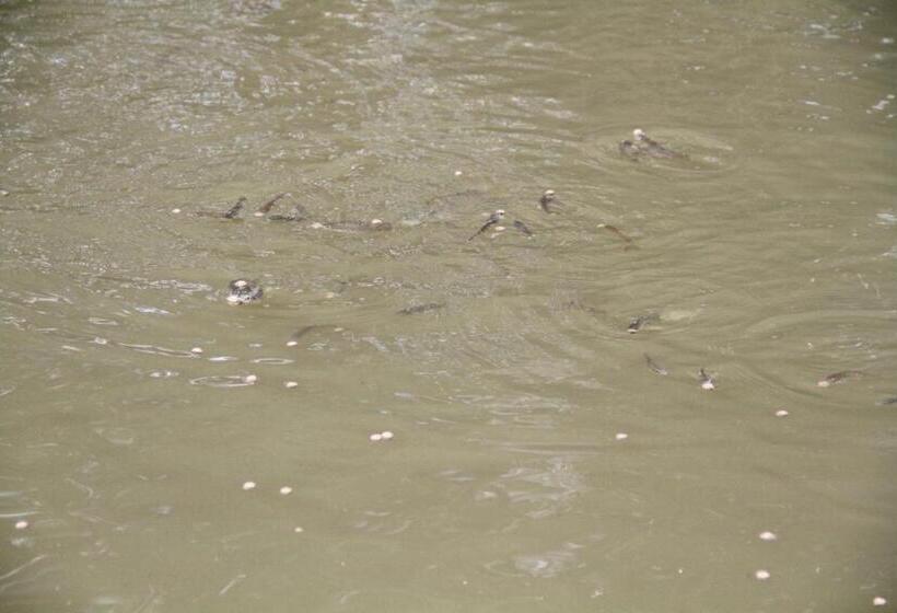 Pansiyon Pousada Sol Da Montanha