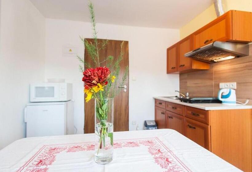 פנסיון Ubytování Macků