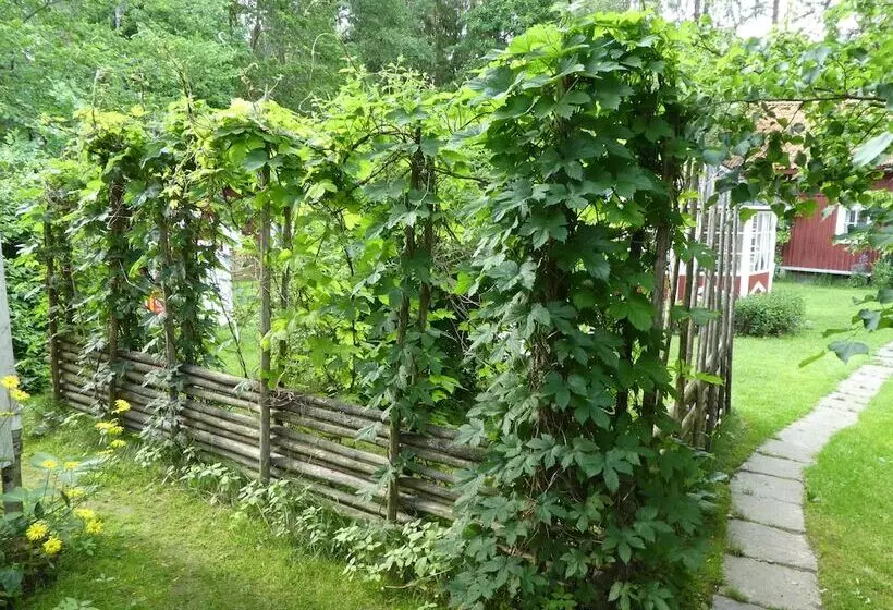 Prästmyren Vandrarhem