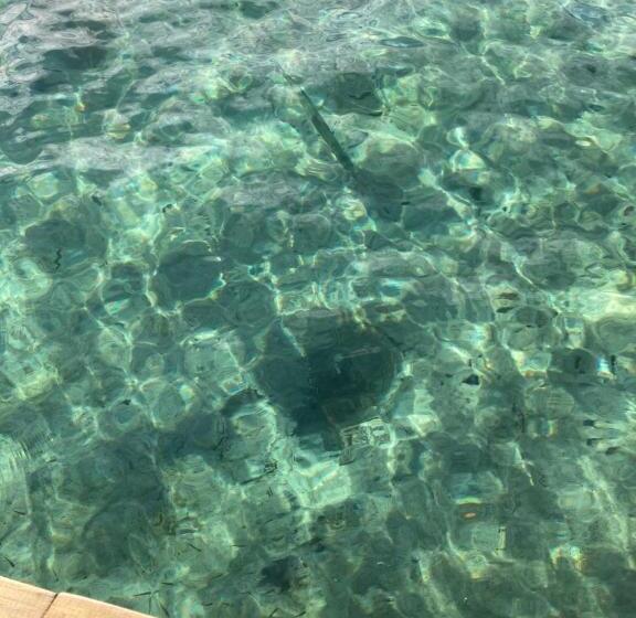 הוסטל Casa Acuario Boutique