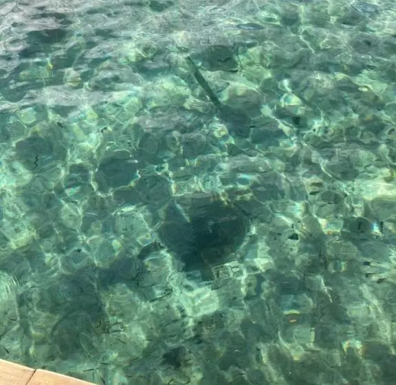 ユースホステル Casa Acuario Boutique