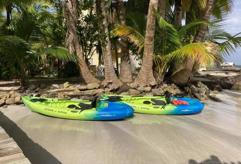 ユースホステル Casa Acuario Boutique