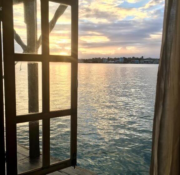 הוסטל Casa Acuario Boutique