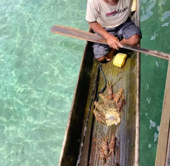 ユースホステル Casa Acuario Boutique