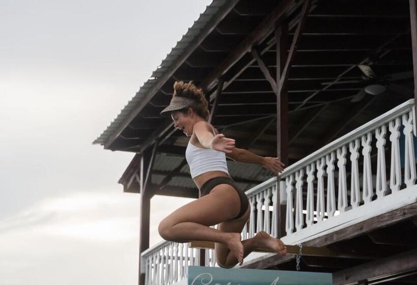 הוסטל Casa Acuario Boutique