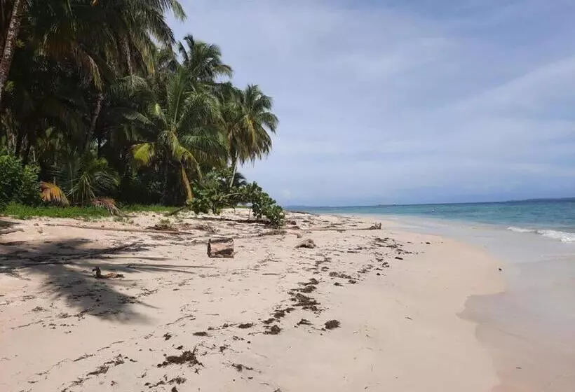 ユースホステル Casa Acuario Boutique