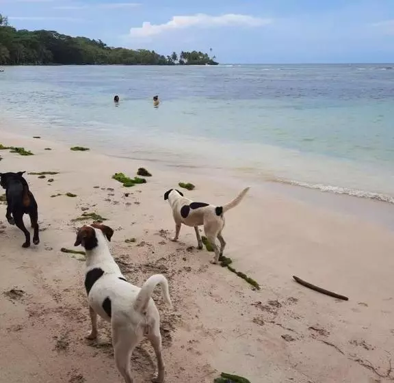 ユースホステル Casa Acuario Boutique