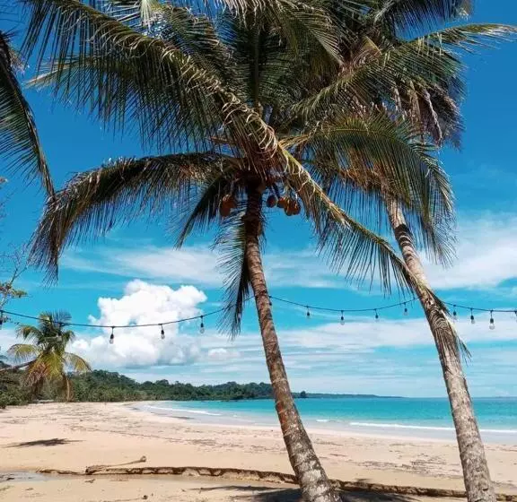 ユースホステル Casa Acuario Boutique