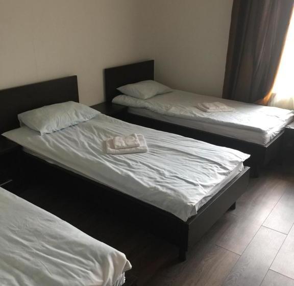 הוסטל Mini Hotel Megora