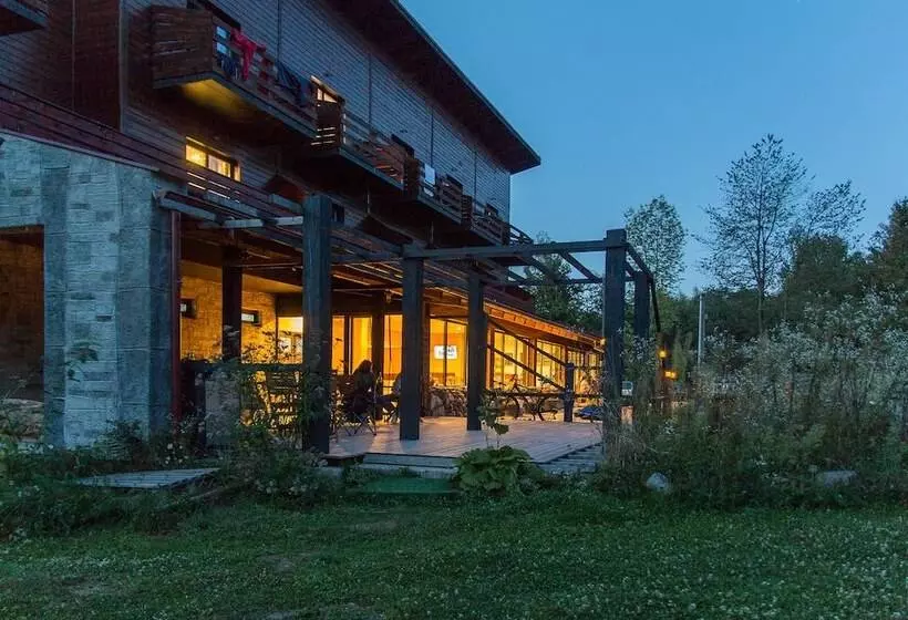 Aamiaismajoitus (B&B) Pensiunea Ana Vistisoara