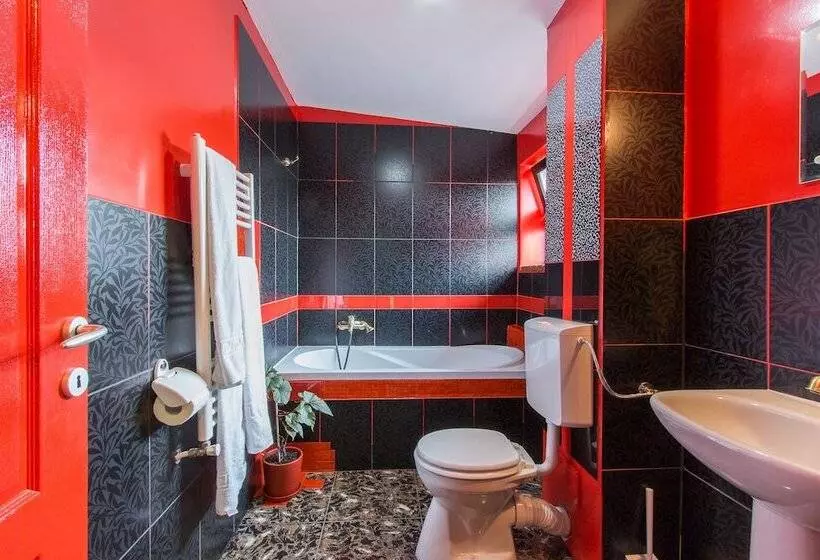 Aamiaismajoitus (B&B) Pensiunea Ana Vistisoara