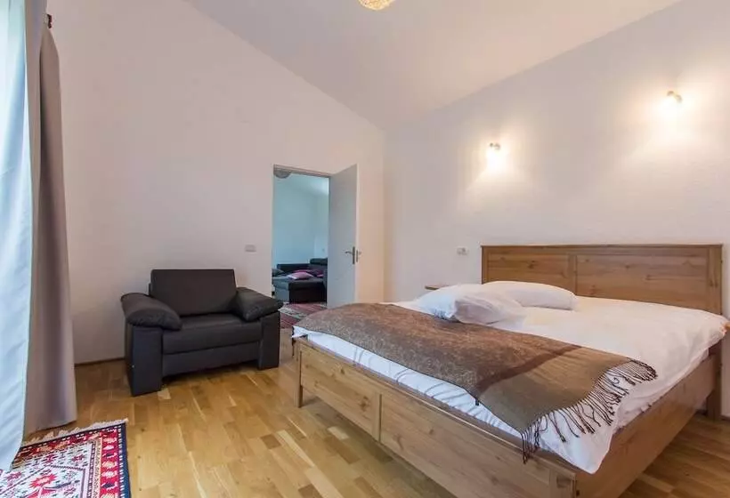 Aamiaismajoitus (B&B) Pensiunea Ana Vistisoara