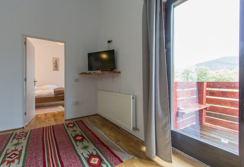 مبيت وإفطار Pensiunea Ana Vistisoara