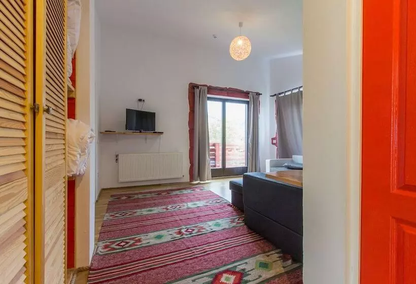 Aamiaismajoitus (B&B) Pensiunea Ana Vistisoara