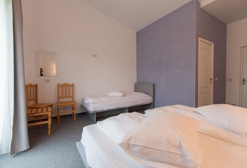 مبيت وإفطار Pensiunea Ana Vistisoara