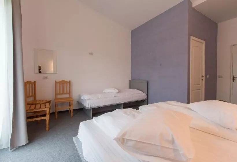 Aamiaismajoitus (B&B) Pensiunea Ana Vistisoara