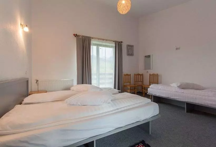 Aamiaismajoitus (B&B) Pensiunea Ana Vistisoara